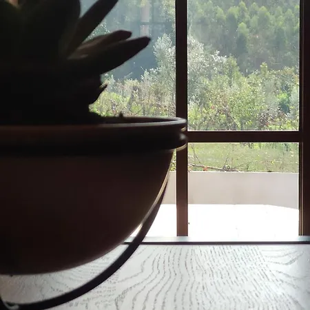 Casa Do Vo Sousa 別荘